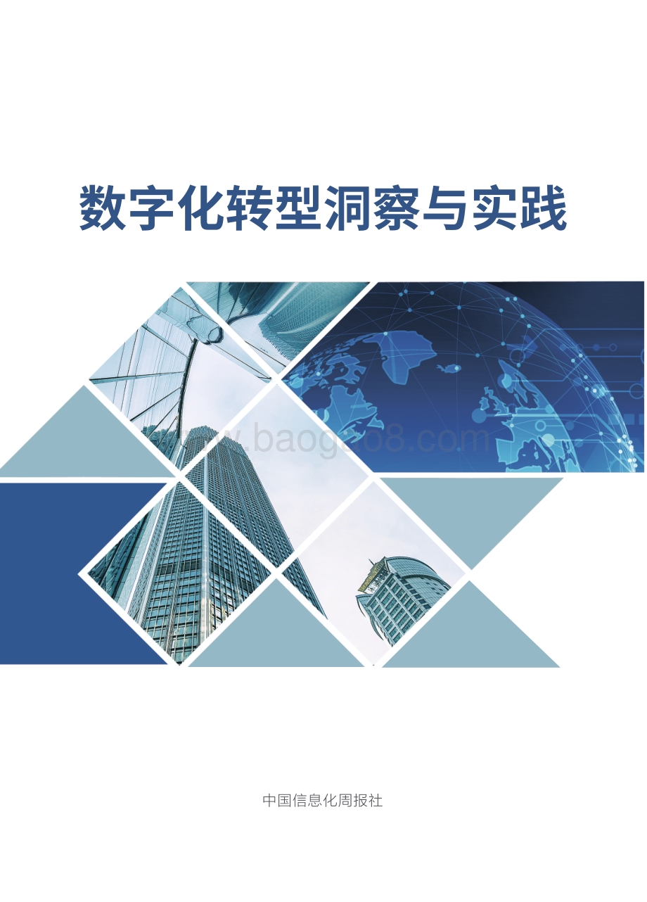 《数字化转型洞察与实践》白皮书_110页_19mb.pdf_第1页