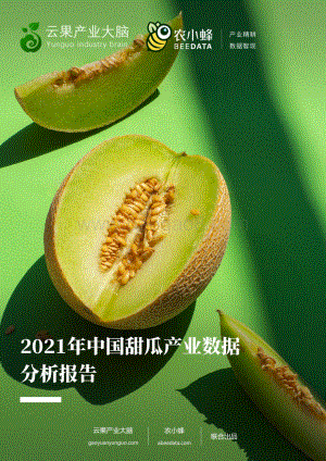农小蜂：2021年中国甜瓜产业数据分析报告_31页_37mb.pdf