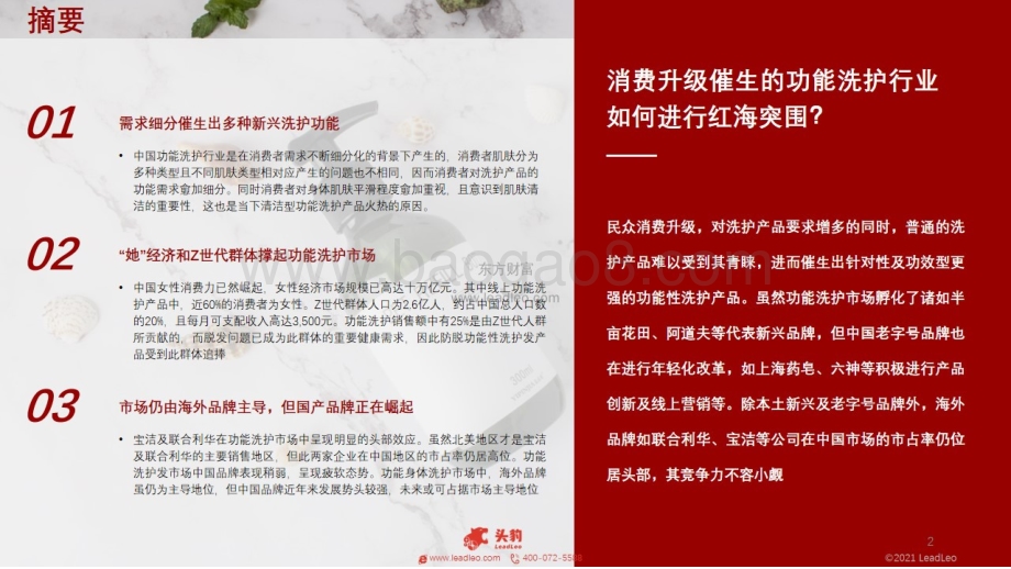 2021年中国功能洗护行业：洗护行业新风尚功能洗护的红海突围_47页_10mb.pdf_第2页