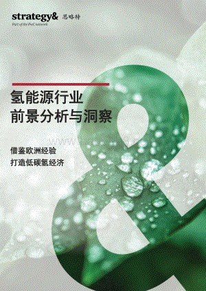 氢能源行业前景分析与洞察：借鉴欧洲经验打造低碳氢经济-普华永道-2021-28页_1mb.pdf