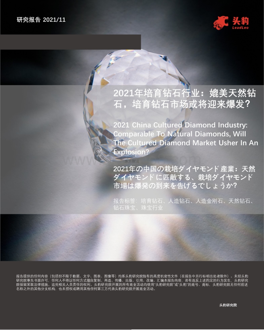 2021年培育钻石行业：媲美天然钻石培育钻石市场或将迎来爆发？_44页_12mb.pdf_第1页