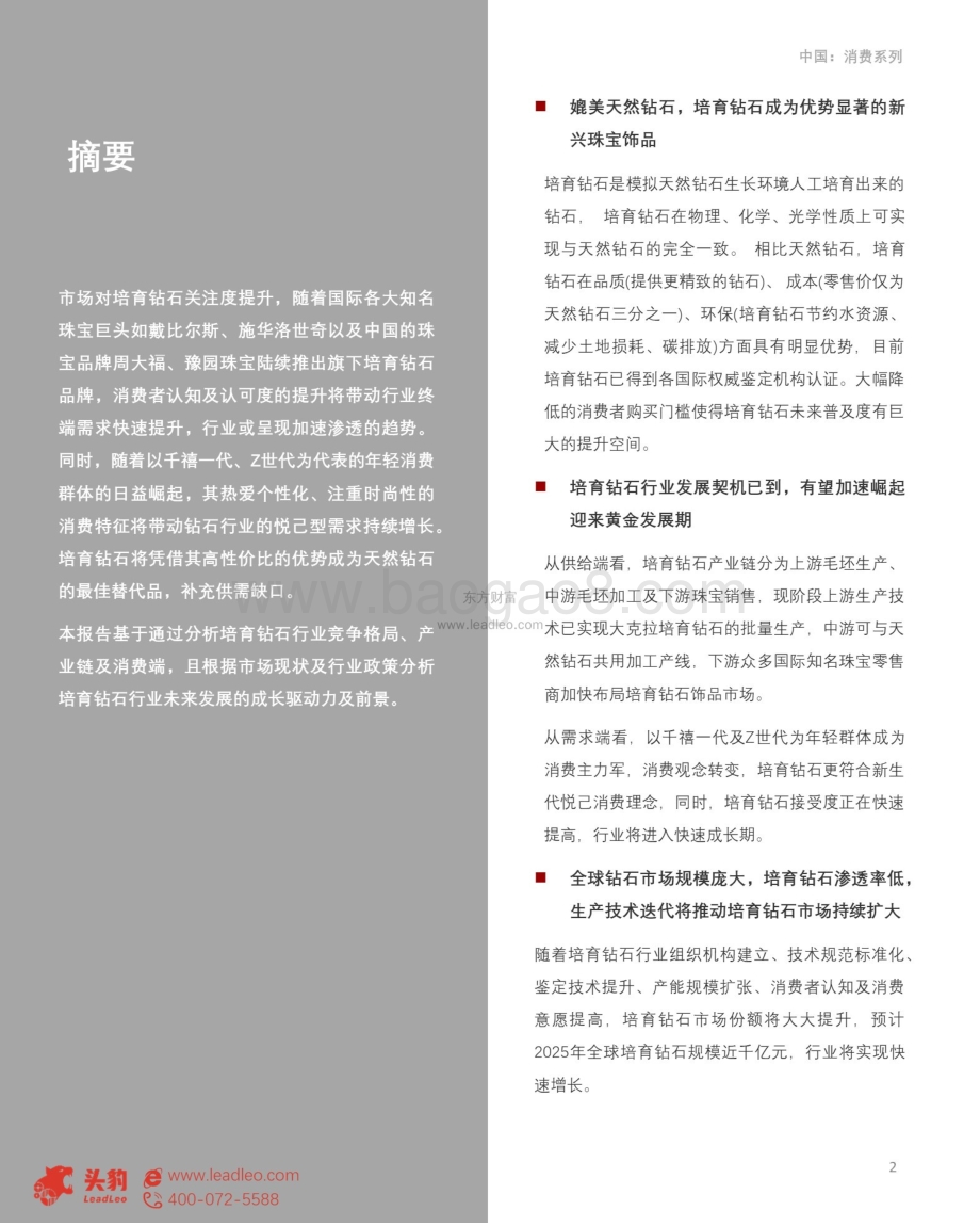 2021年培育钻石行业：媲美天然钻石培育钻石市场或将迎来爆发？_44页_12mb.pdf_第2页