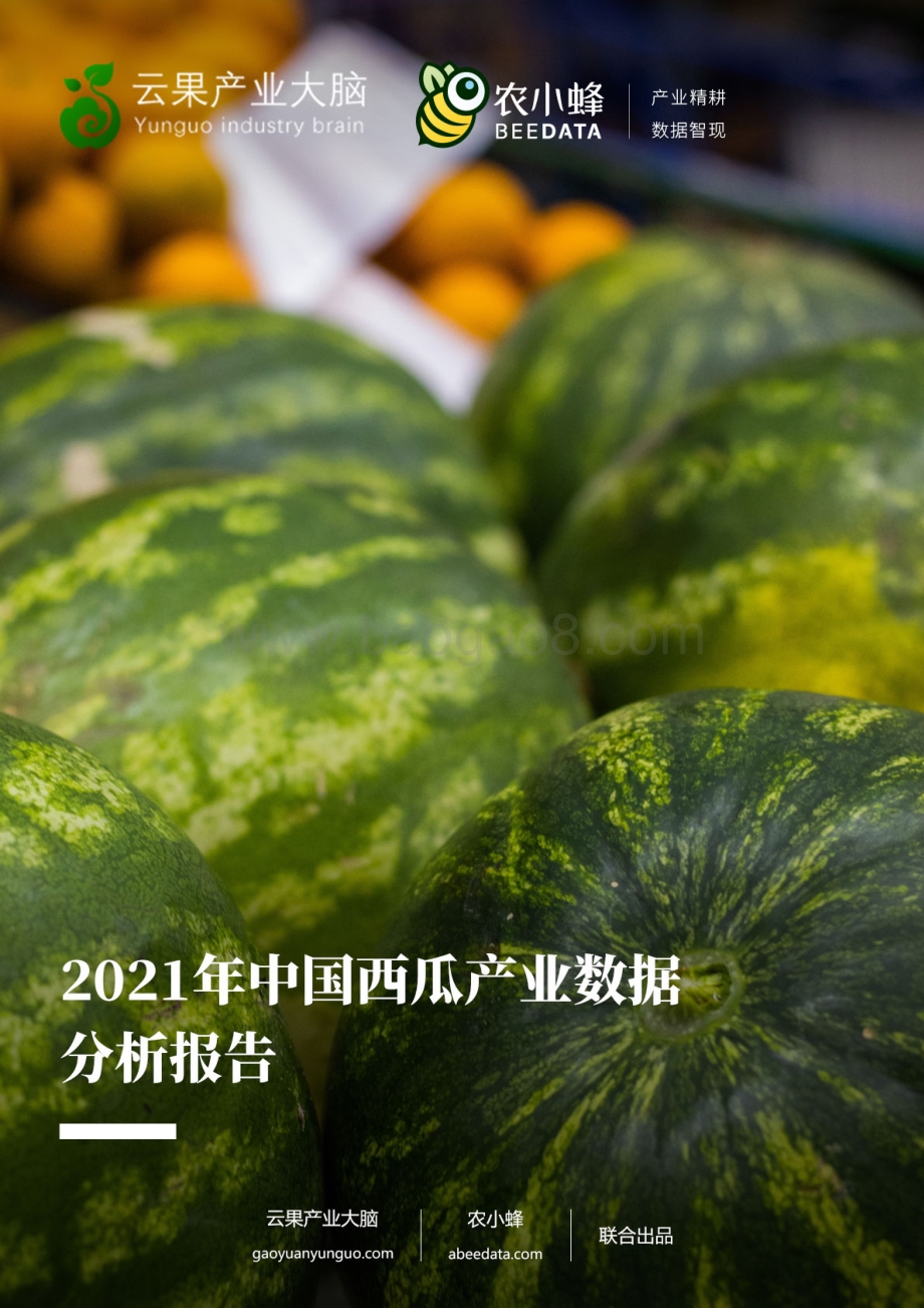 农小蜂：2021年中国西瓜产业数据分析报告_31页_35mb.pdf_第1页