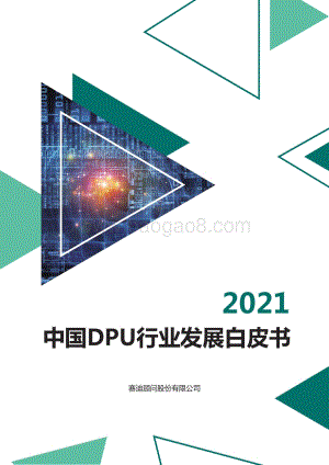 2021中国DPU行业发展白皮书_38页_6mb.pdf