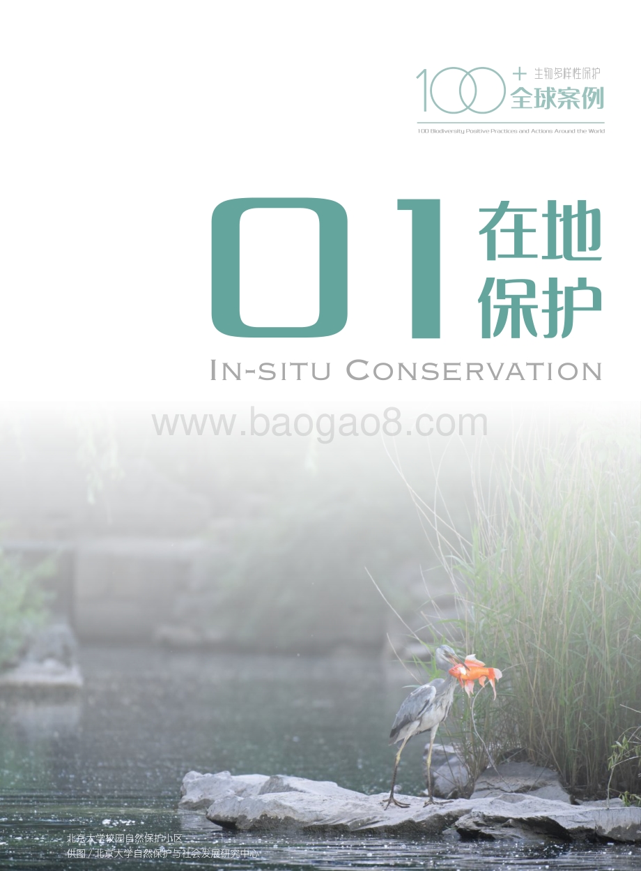 生物多样性100_全球案例选集_260页_23mb.pdf_第5页