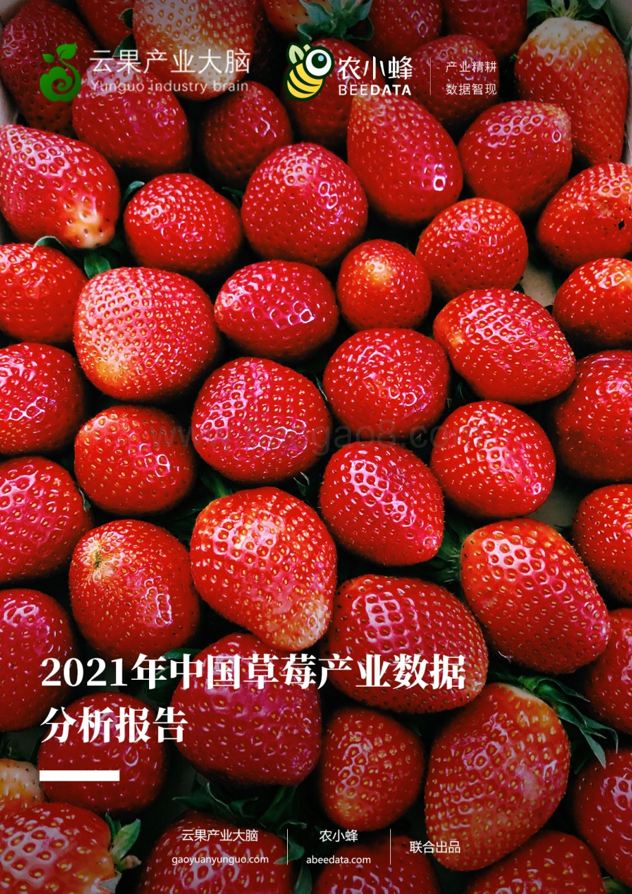 农小蜂：2021年中国草莓产业数据分析报告_31页_37mb.pdf_第1页