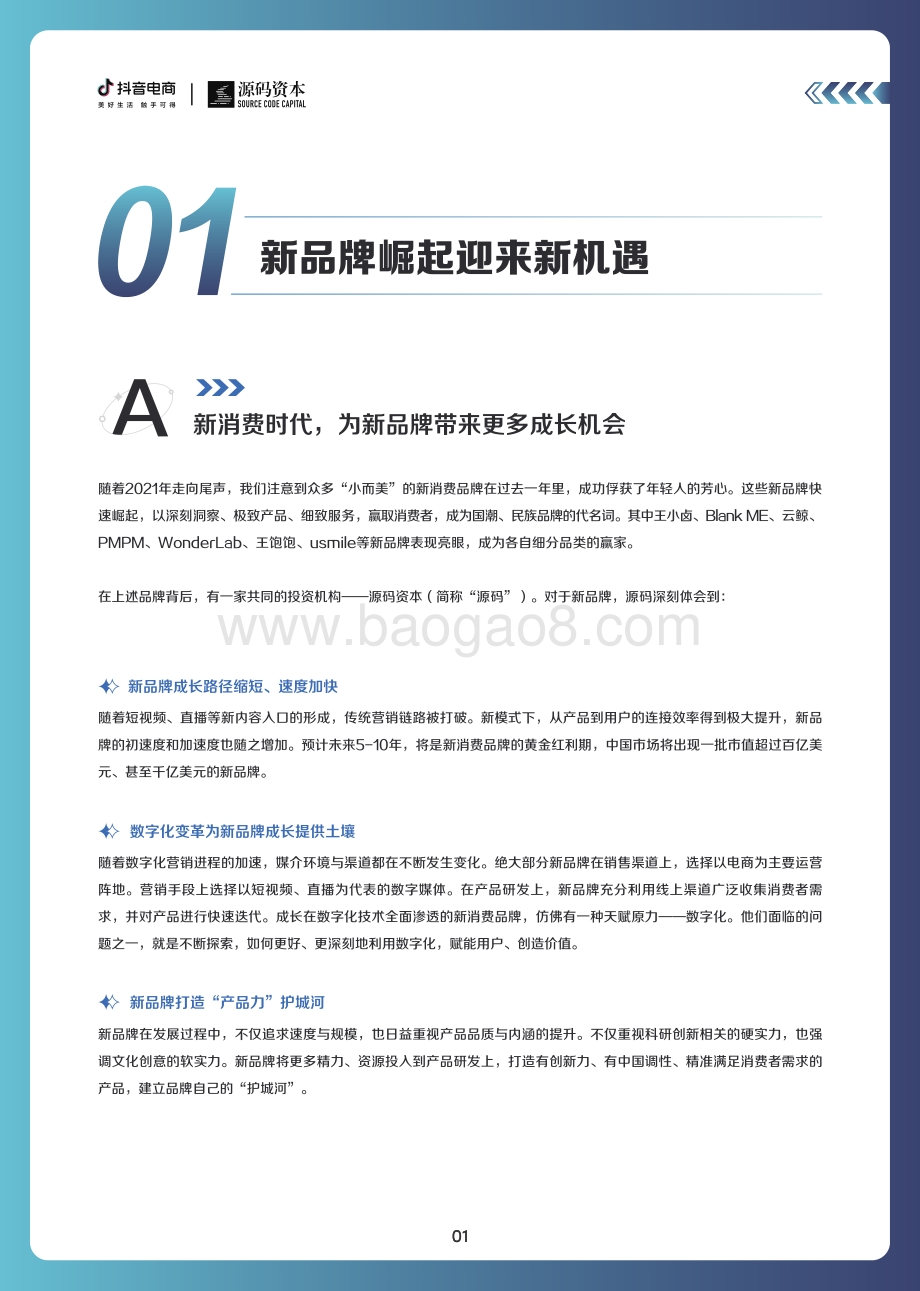 【抖音电商_源码资本】新品牌成长趋势白皮书_33页_14mb.pdf_第4页