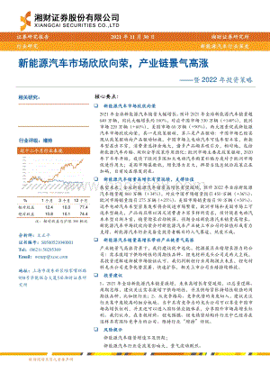 深度报告-20211130-湘财证券-新能源汽车行业深度暨2022年投资策略_新能源汽车市场欣欣向荣_产业链景气高涨_27页_1mb.pdf