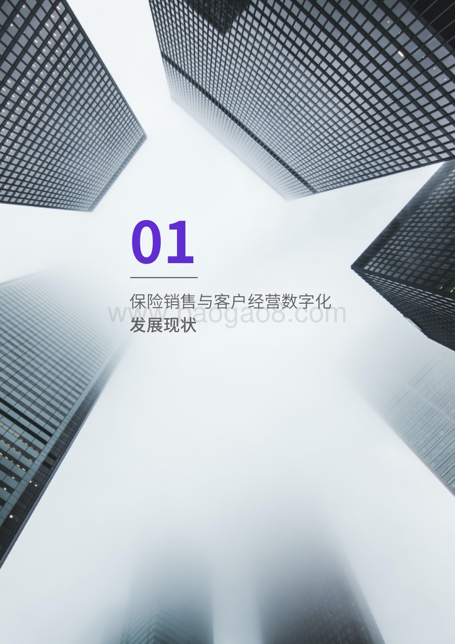 蓄势增长：保险销售与客户经营数字化调研报告2021_32页_8mb.pdf_第4页