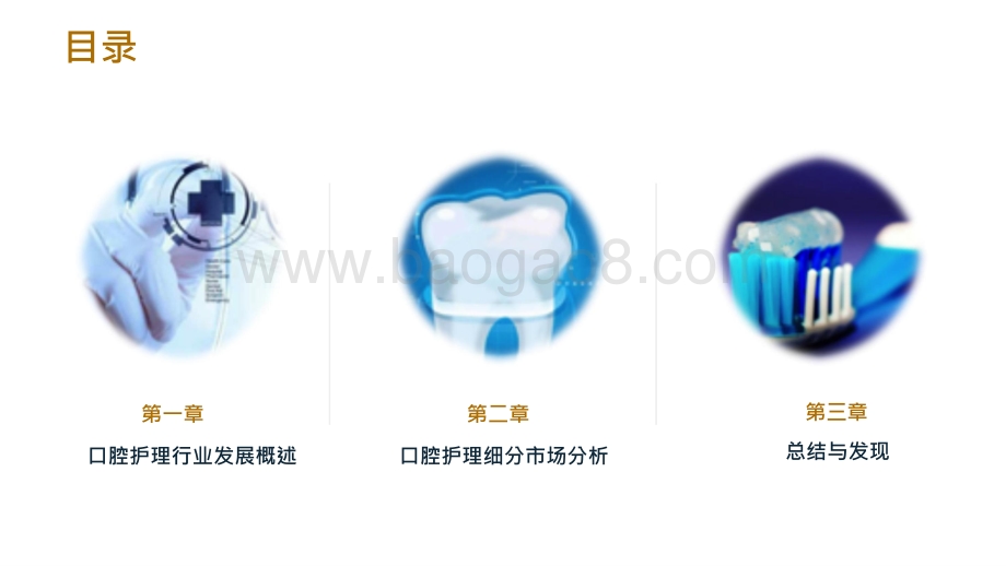 2021-2022口腔护理线上市场分析报告.pptx_第2页