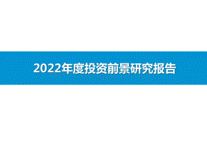 2022年度投资前景研究报告.pptx