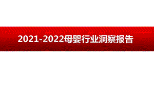 2021-2022母婴行业洞察报告.pptx