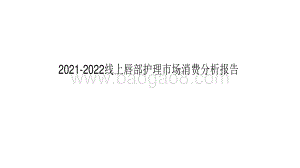 2021-2022线上唇部护理市场消费分析报告.pdf