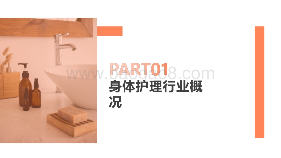 2021-2022年身体护理行业社媒营销分析报告.pptx_第2页