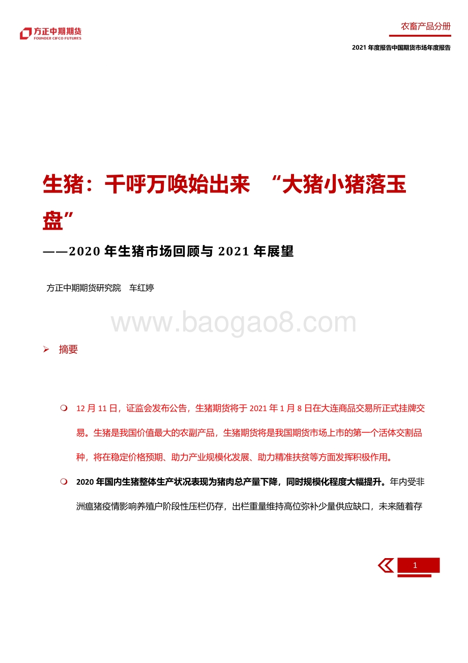 2020年生猪市场回顾与2021年展望.pdf_第5页