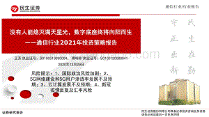 通信行业2021年投资策略报告：没有人能熄灭满天星光数字底座终将向阳而生.pdf