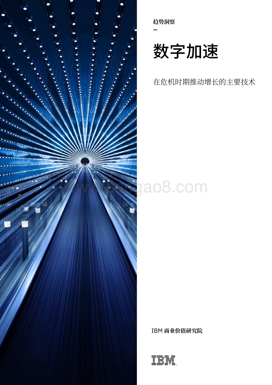 数字加速：在危机时期推动增长的主要技术.pdf_第1页