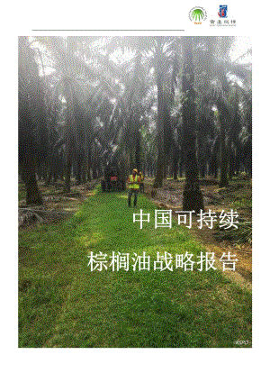 中国可持续棕榈油战略报告.pdf