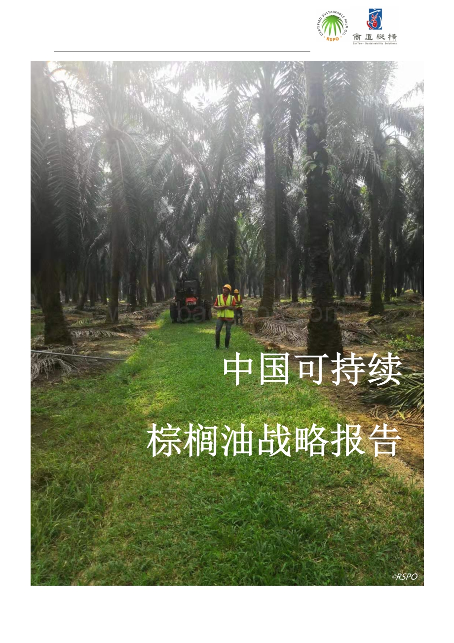 中国可持续棕榈油战略报告.pdf_第1页