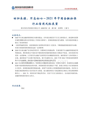 2021年中国金融担保行业信用风险展望.pdf