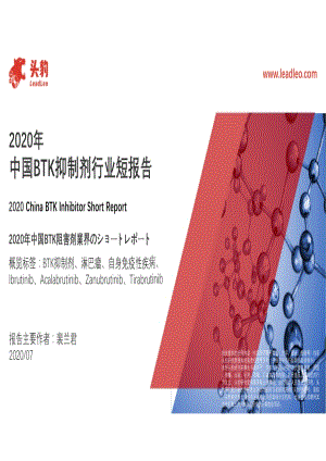 2020年中国BTK抑制剂行业短报告.pdf