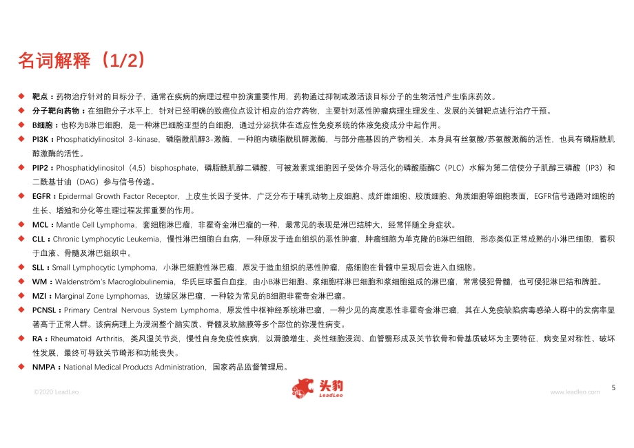 2020年中国BTK抑制剂行业短报告.pdf_第5页