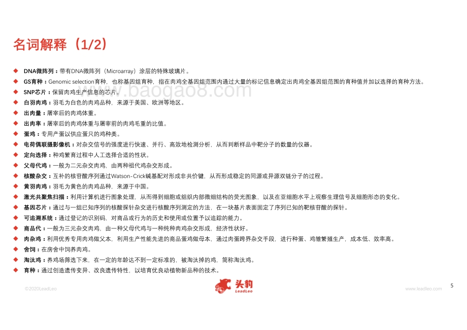 2020年中国肉鸡行业概览.pdf_第5页