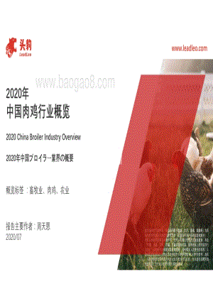 2020年中国肉鸡行业概览.pdf