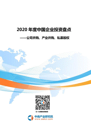 2020年度中国企业投资盘点.pdf