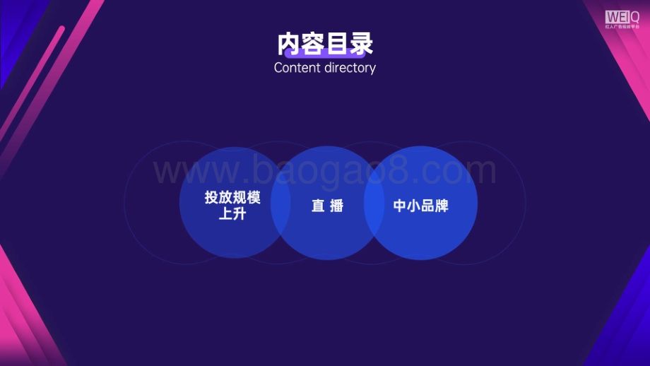 2020年双11广告主红人投放盘点及营销分析.pdf_第5页