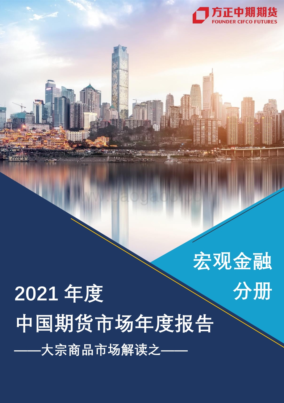 2020年全球宏观市场回顾与2021年展望.pdf_第1页
