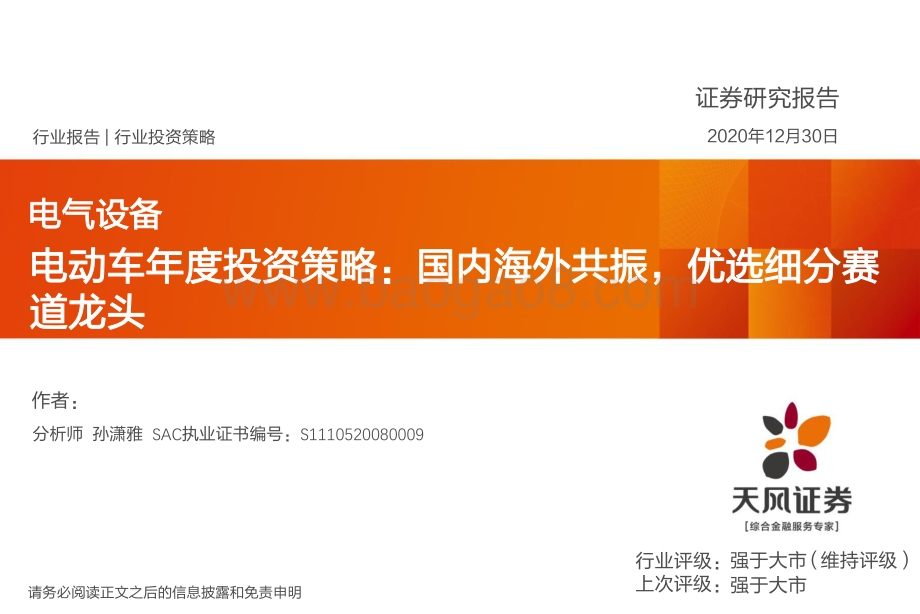 电动车年度投资策略：国内海外共振优选细分赛道龙头.pdf_第1页