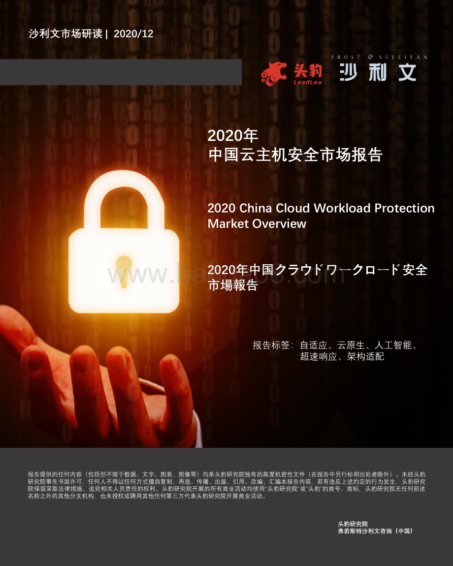 2020年中国云主机安全市场报告.pdf_第1页