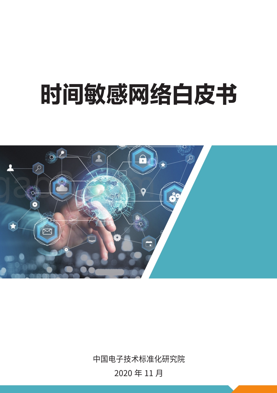 时间敏感网络白皮书.pdf_第1页