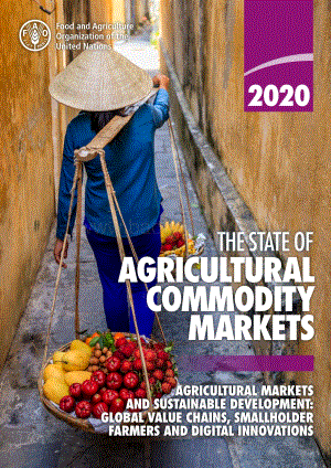 2020农产品市场状况（英文版）.pdf