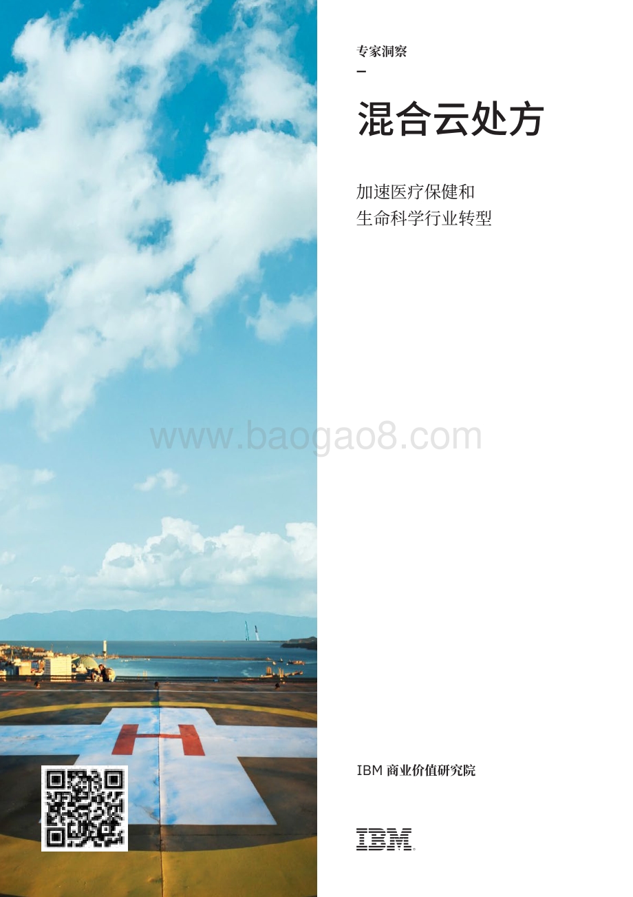 混合云处方：加速医疗保健和生命科学行业转型.pdf_第1页