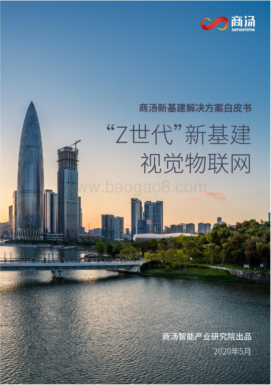 “Z世代”新基建：视觉物联网.pdf_第1页