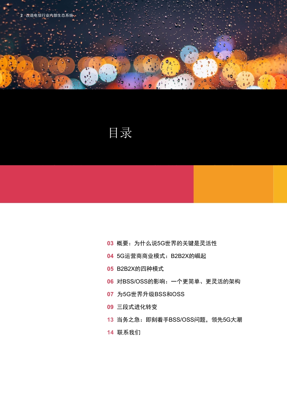 改造电信行业内部生态系统：反思5G时代的业务支撑系统（BSS）和运营支撑系统（OSS）.pdf_第2页