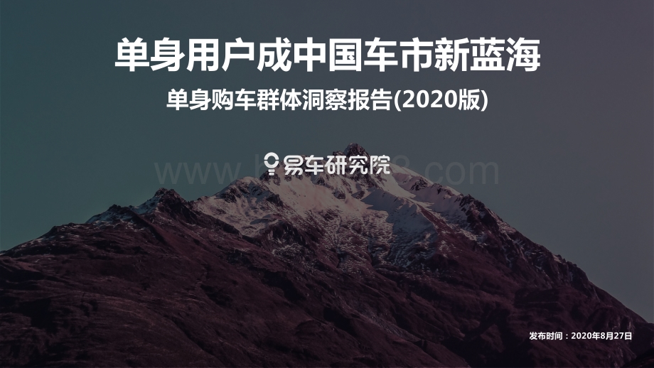 2020版单身购车群体洞察报告.pdf_第1页