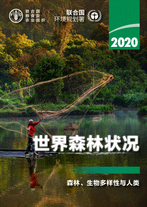 2020世界森林状况.pdf