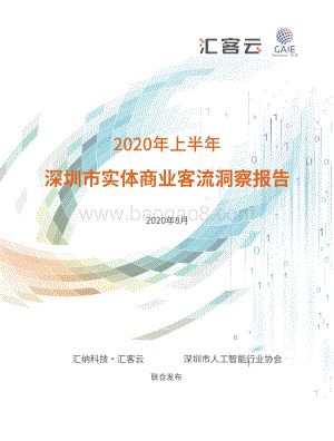 2020年上半年深圳市实体商业客流洞察报告.pdf