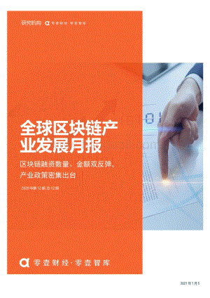 2020年12月全球区块链产业发展月报.pdf