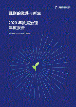 2020年数据治理年度报告.pdf