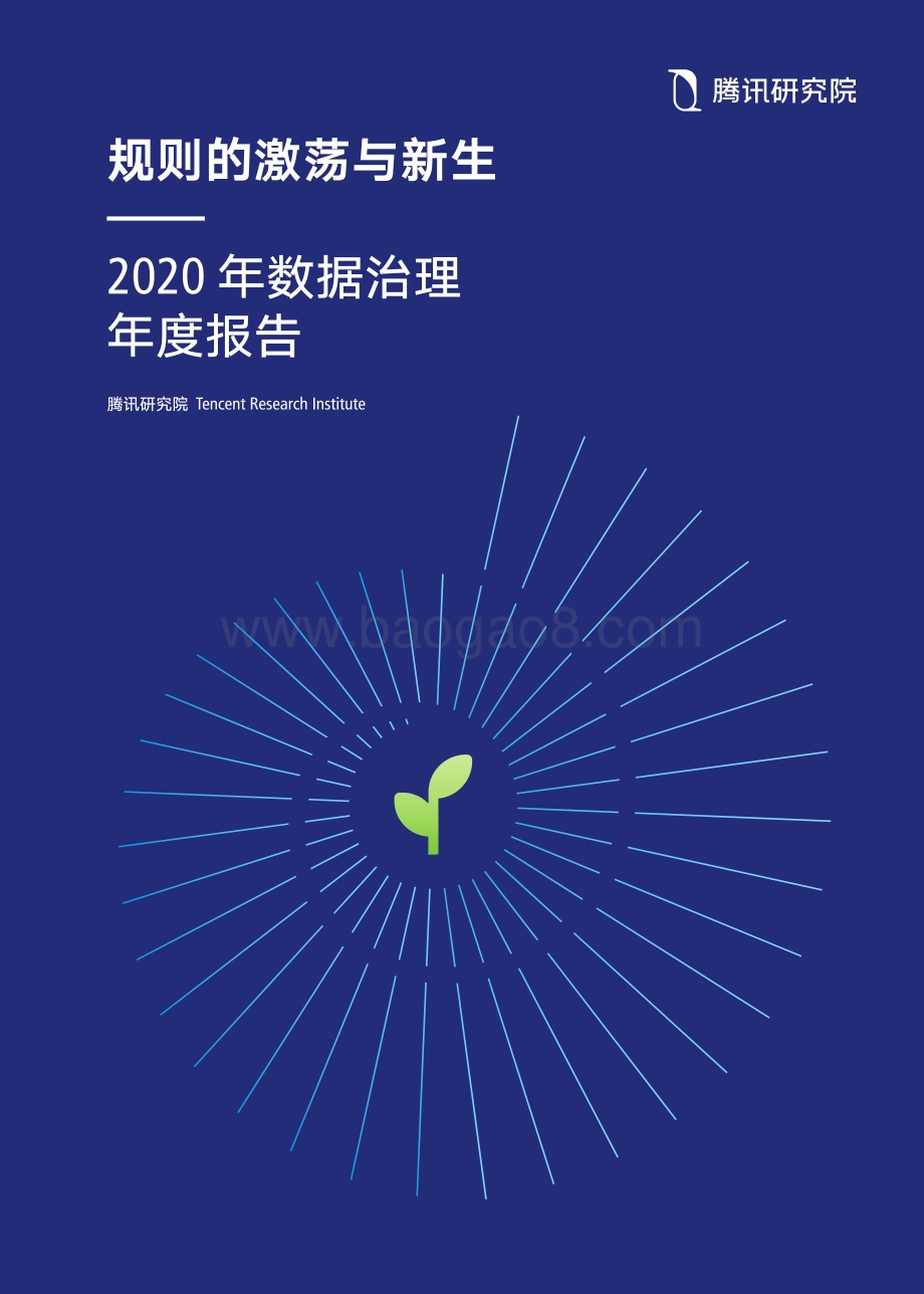 2020年数据治理年度报告.pdf_第1页