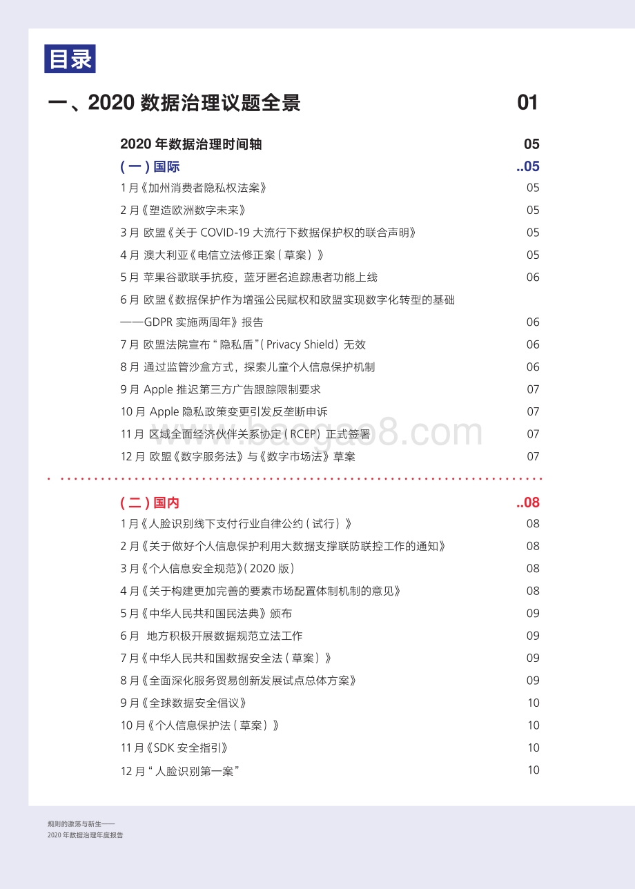 2020年数据治理年度报告.pdf_第4页