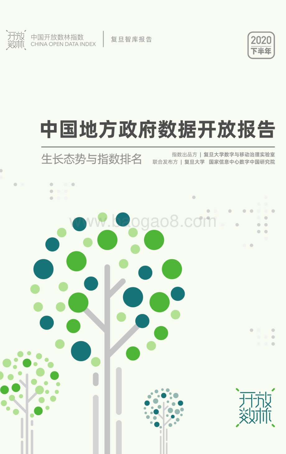 2020下半年中国地方政府数据开放报告.pdf_第1页