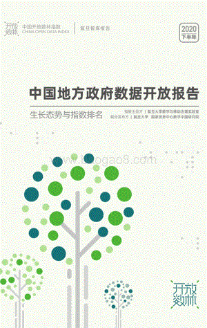 2020下半年中国地方政府数据开放报告.pdf