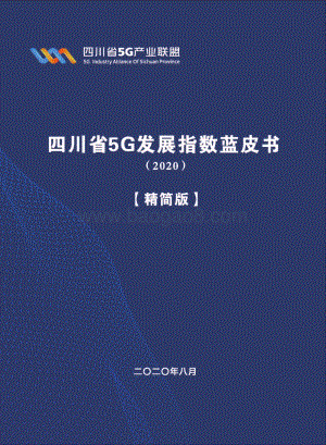 2020四川省5G发展指数蓝皮书精简版.pdf