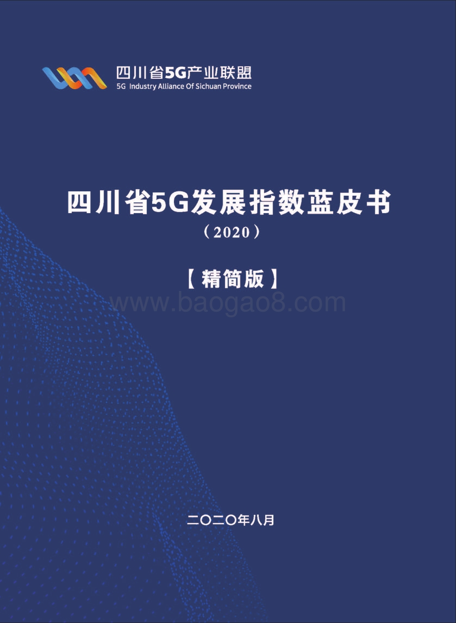 2020四川省5G发展指数蓝皮书精简版.pdf_第1页