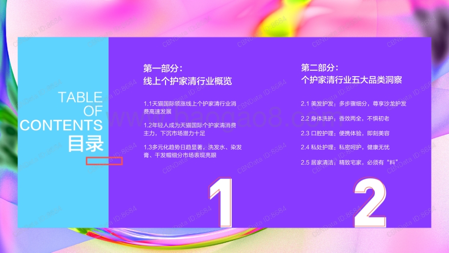 天猫国际个护家清行业消费洞察报告.pdf_第2页